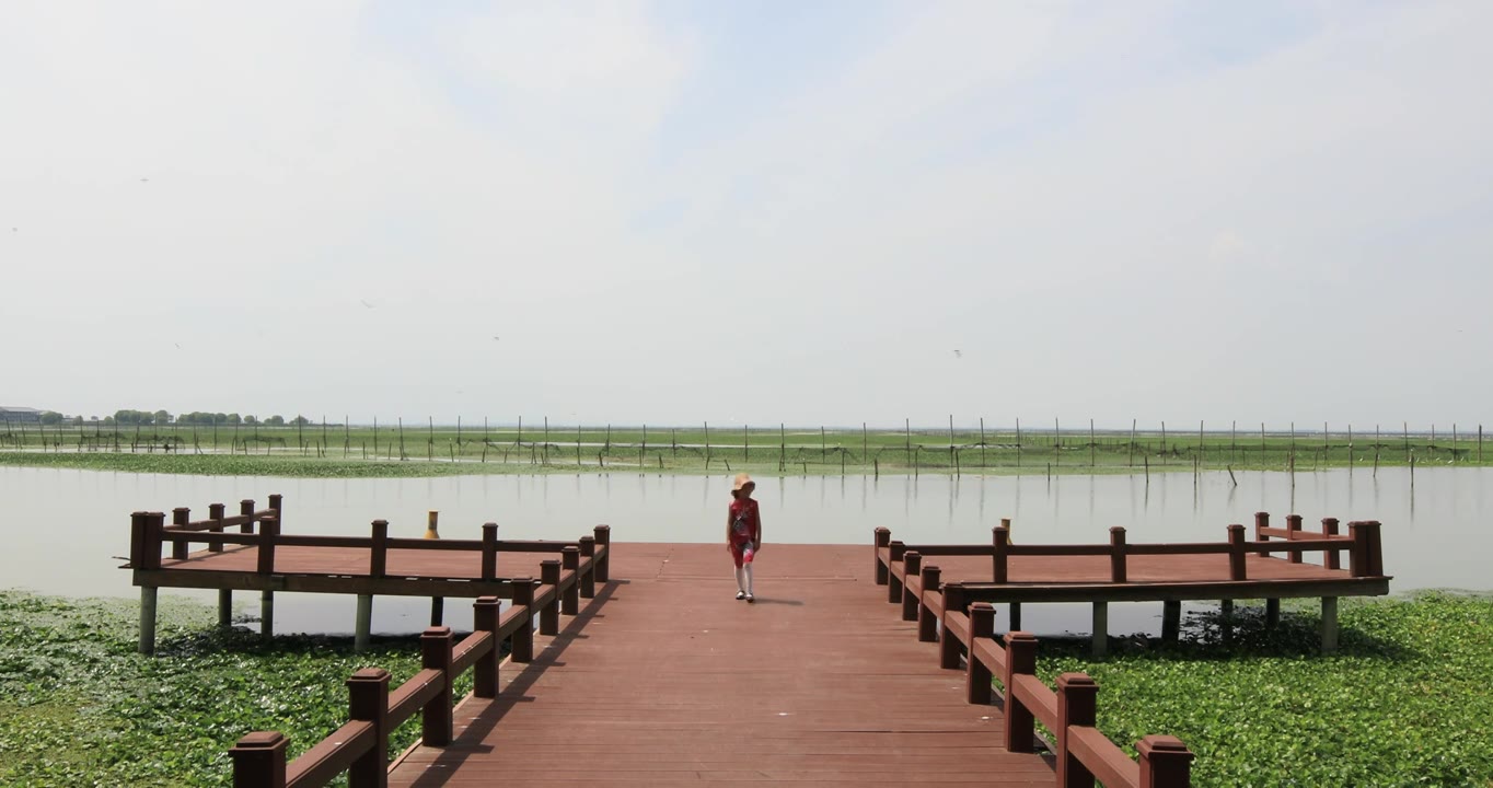 江苏长荡湖湿地飞鸟可爱小女孩码头散步视频素材