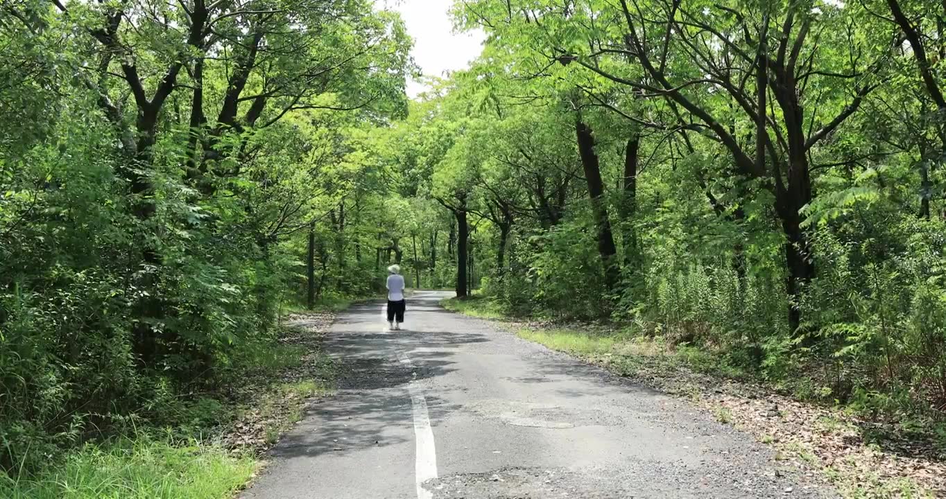 女人沿着公园森林小路悠闲散步背影视频素材