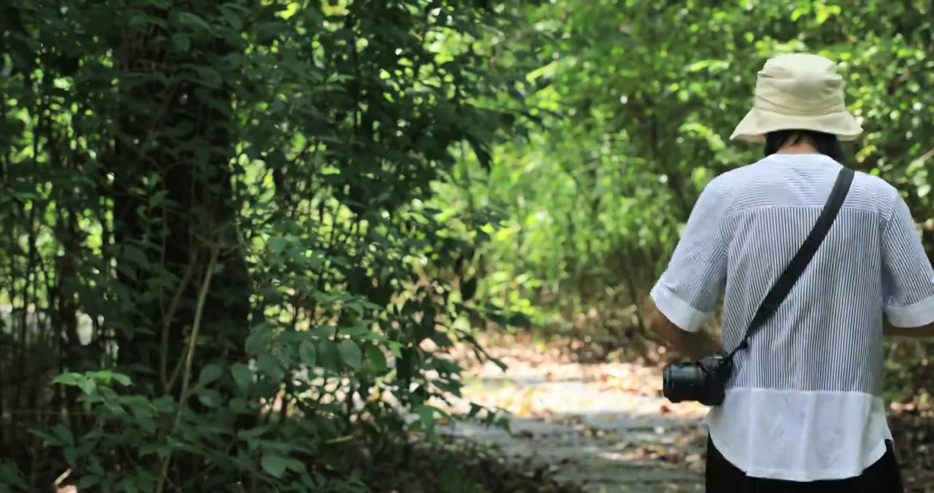 年轻女子背着相机开心沿着小路向森林深处走去视频素材