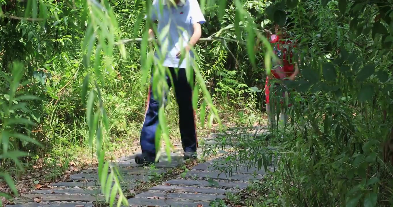 开心姐妹抬着树枝从小路上走来快乐笑着视频素材