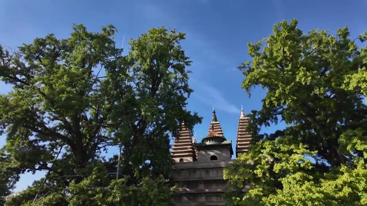 北京市海淀区，五塔寺（真觉寺，北京石刻艺术馆）视频下载