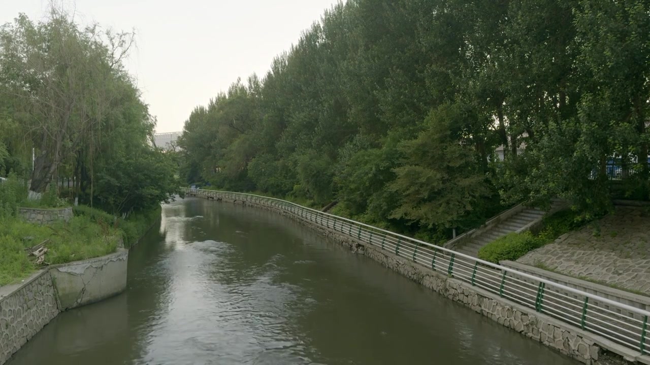 河流 人工河道 树视频素材