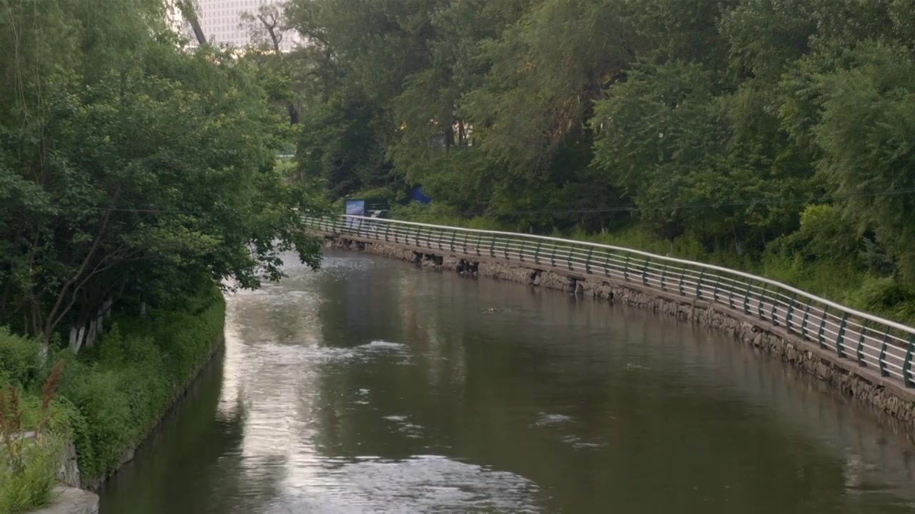 河流 人工河道 树视频素材