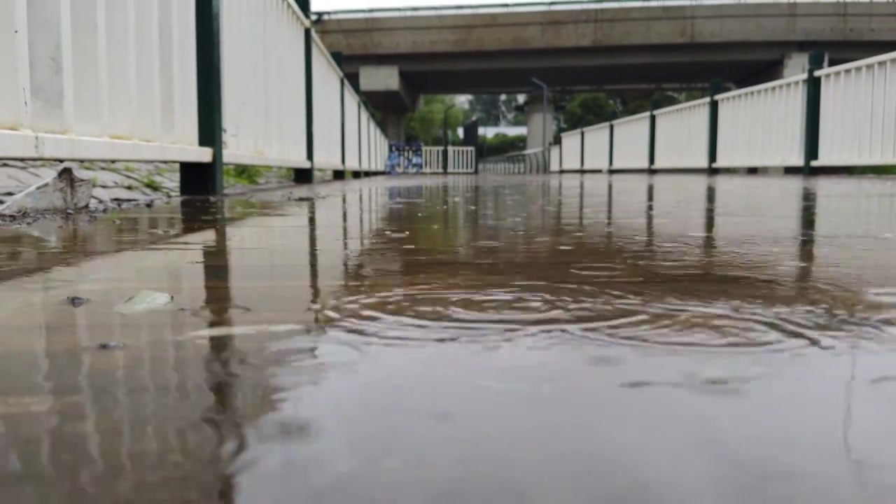 水面 水波纹 下雨视频素材