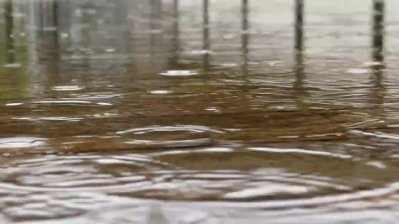 水面 水波纹 下雨视频素材