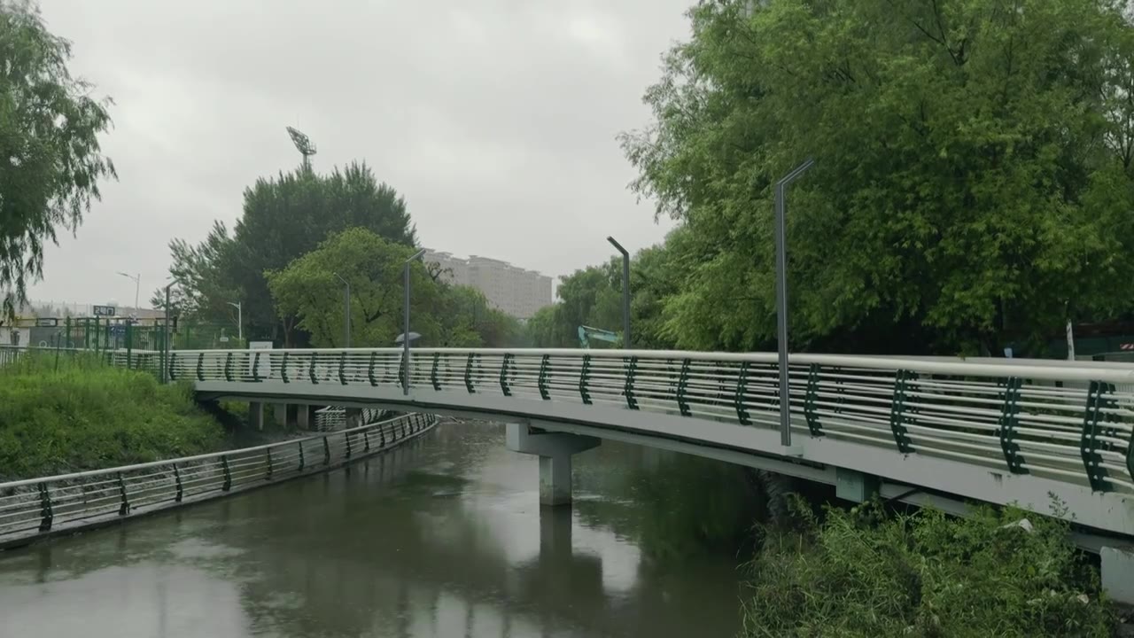 下雨 树 桥 行人视频下载