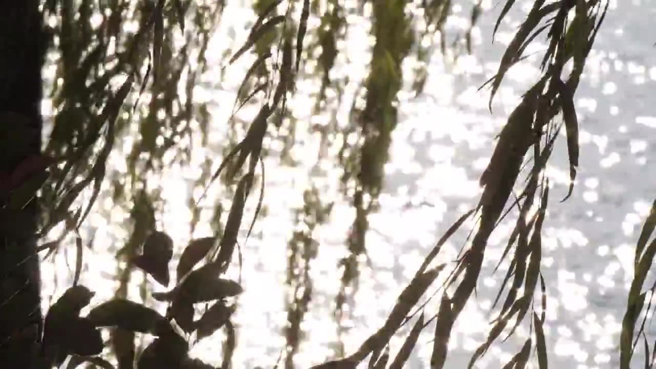 宁静的湖水上，波光粼粼的背景视频素材