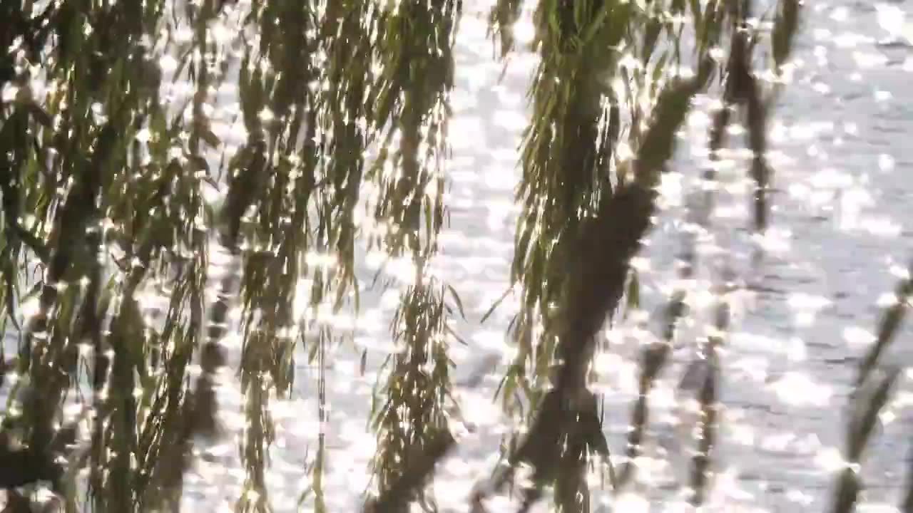 宁静的湖水上，波光粼粼的背景视频下载