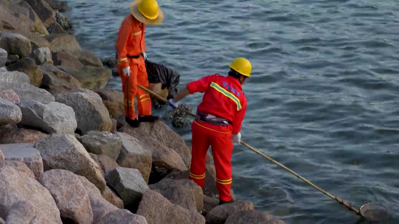 深圳欢乐港湾的保洁工人在海边打捞海中垃圾视频下载