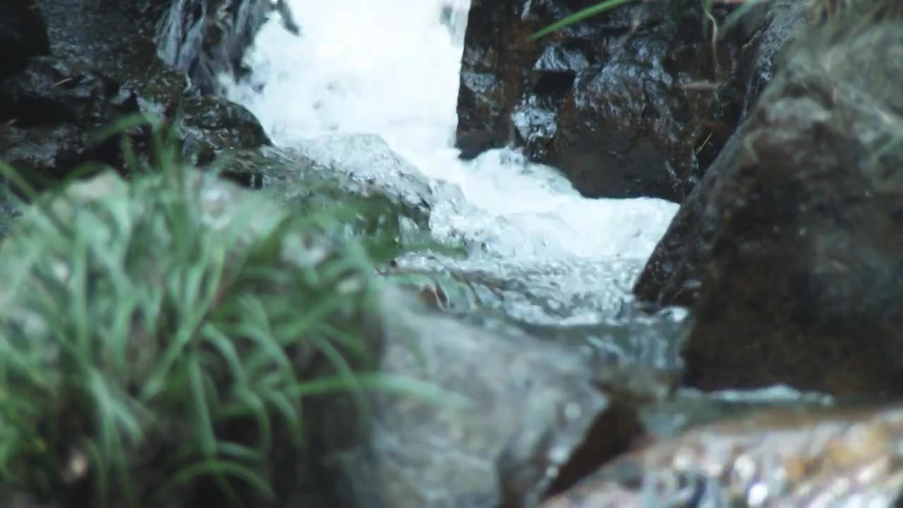 流动的溪水空镜视频下载