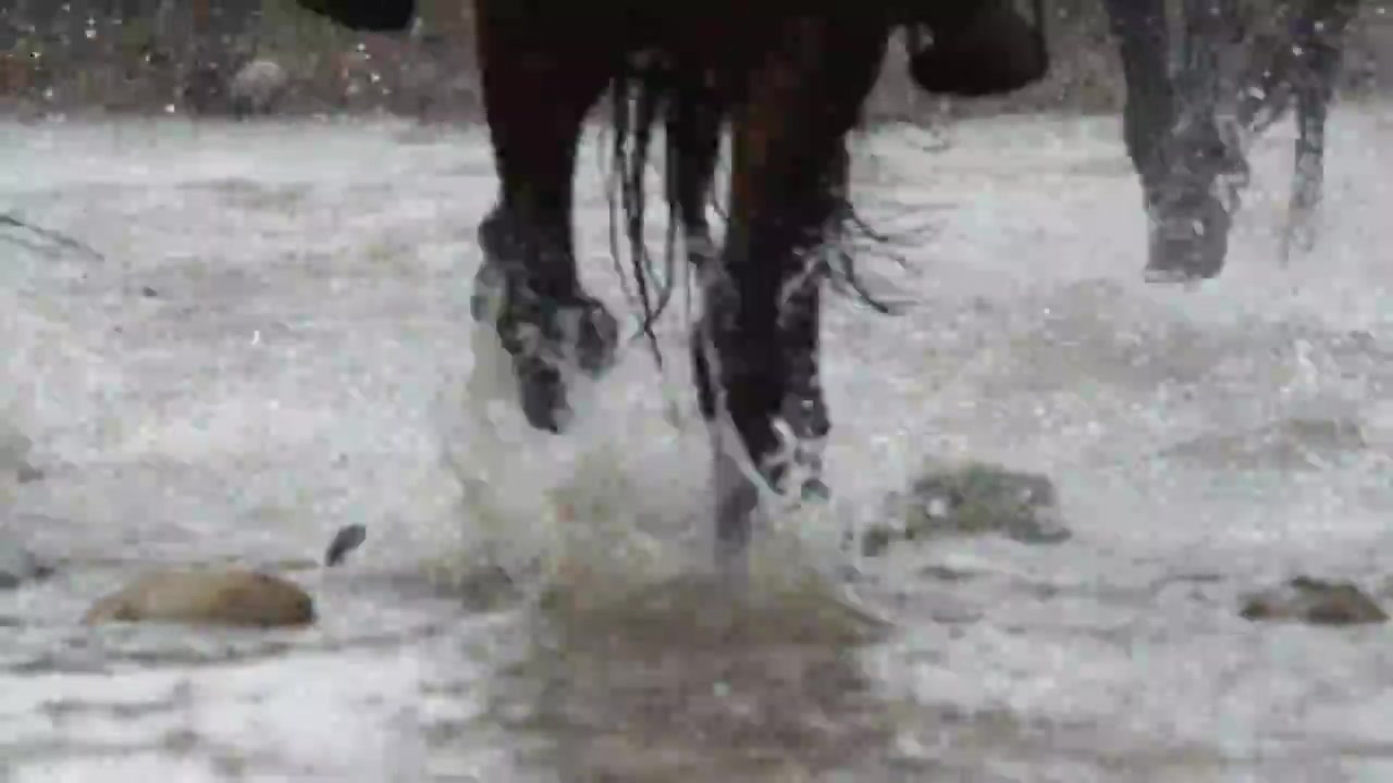 马匹奔跑时马蹄涉水视频素材