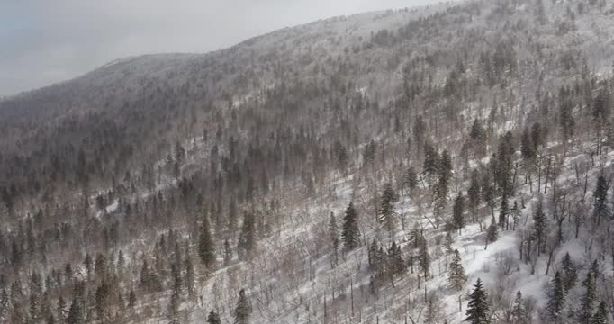 张广才岭林海雪原航拍视频素材