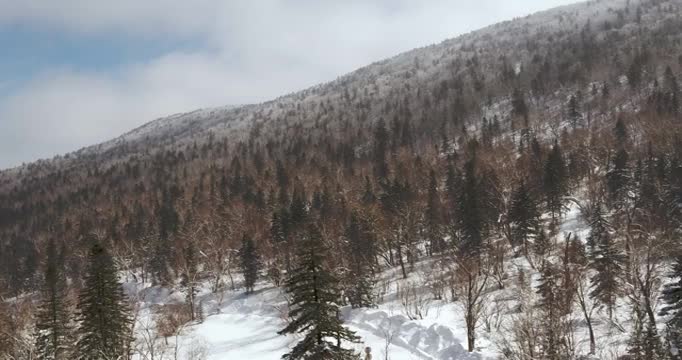 张广才岭凤凰山林海冬季航拍素材视频素材