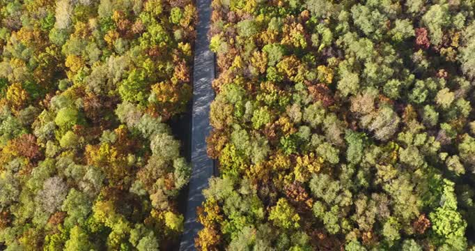 小兴安岭秋季航拍素材视频素材