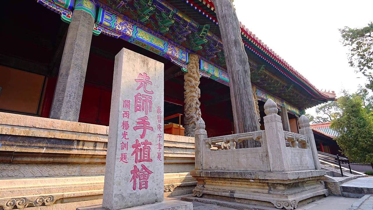孔庙先师手植桧视频素材画面3