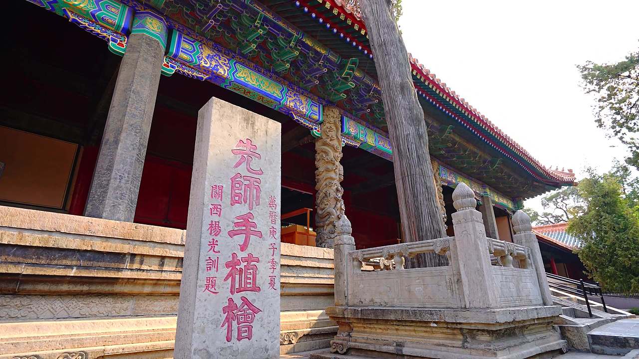 孔庙先师手植桧视频素材画面4
