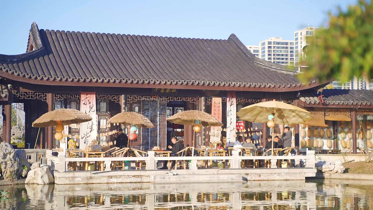 兰陵县湿地公园视频素材画面3