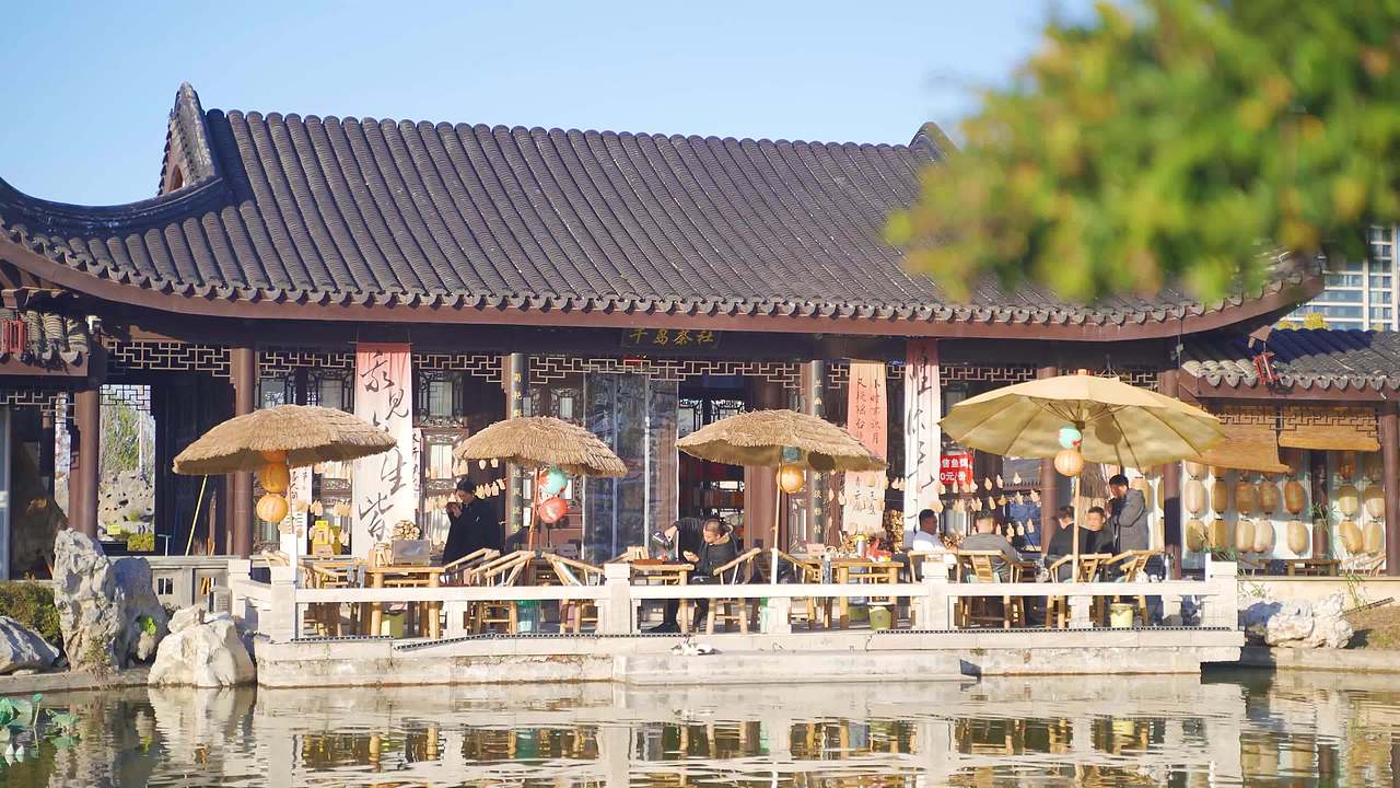 兰陵县湿地公园视频素材画面4