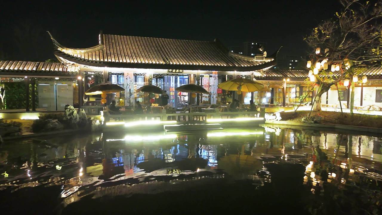 兰陵县 湿地公园 夜晚视频素材画面3