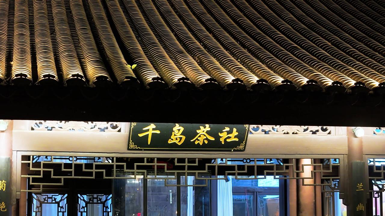 兰陵县 湿地公园 夜晚视频素材画面4