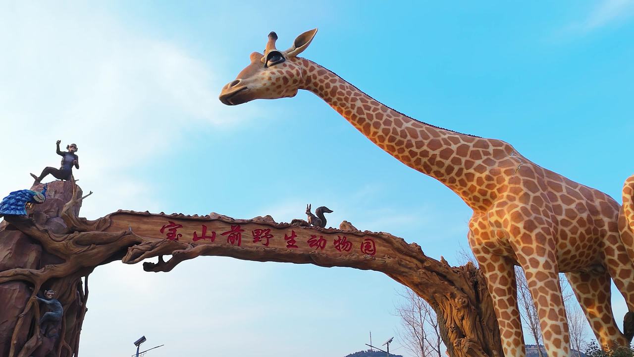 兰陵县宝山前生态景区 野生动物园视频素材画面3