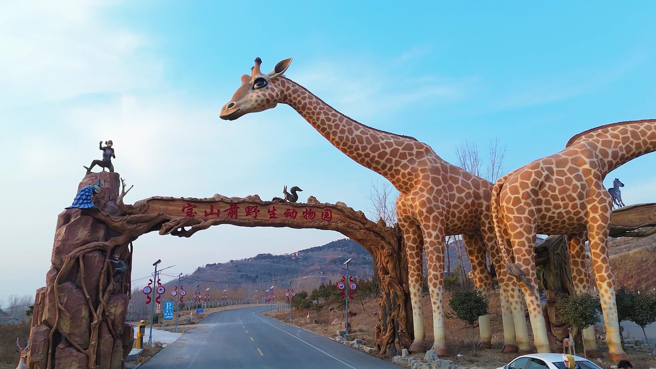 兰陵县宝山前生态景区 野生动物园视频素材画面4