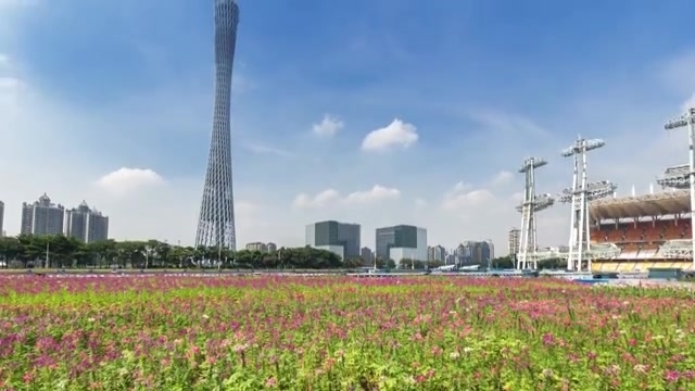 广东广州城市风光 花海 4K延时摄影 画面从下往上摇摆视频素材画面2