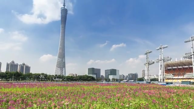 广东广州城市风光 花海 4K延时摄影 画面从下往上摇摆视频素材画面3