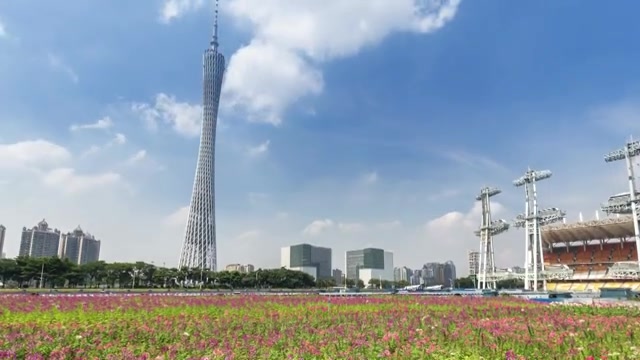 广东广州城市风光 花海 4K延时摄影 画面从下往上摇摆视频素材画面4