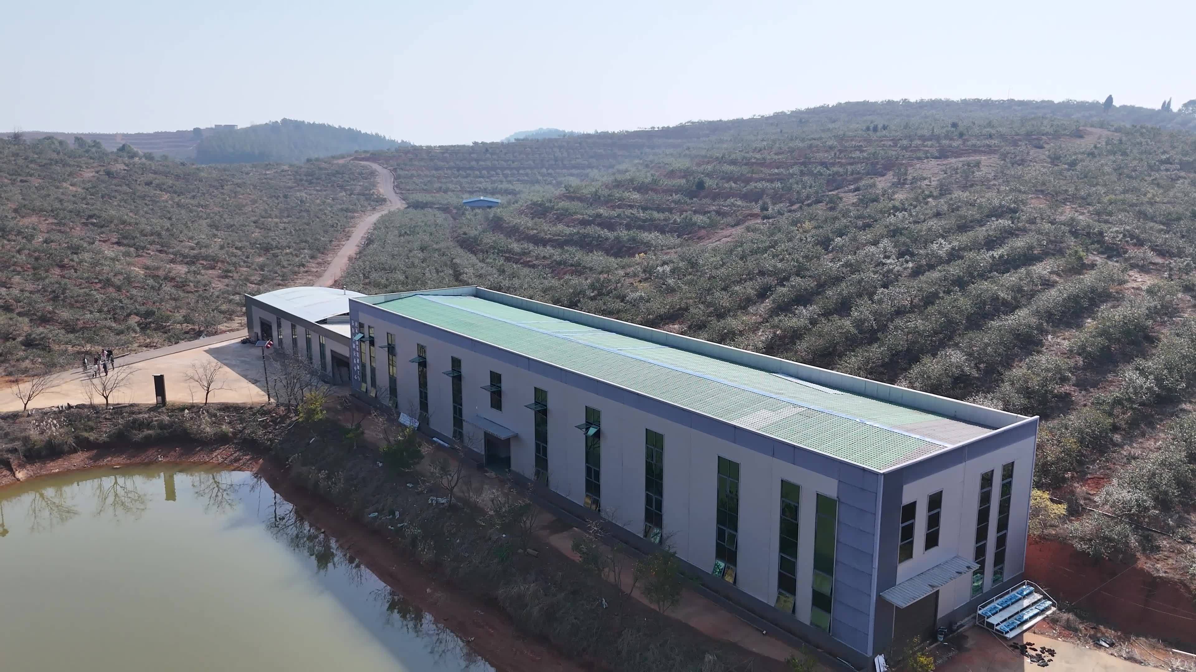 祁阳唐家山油茶加工厂合集视频素材画面3