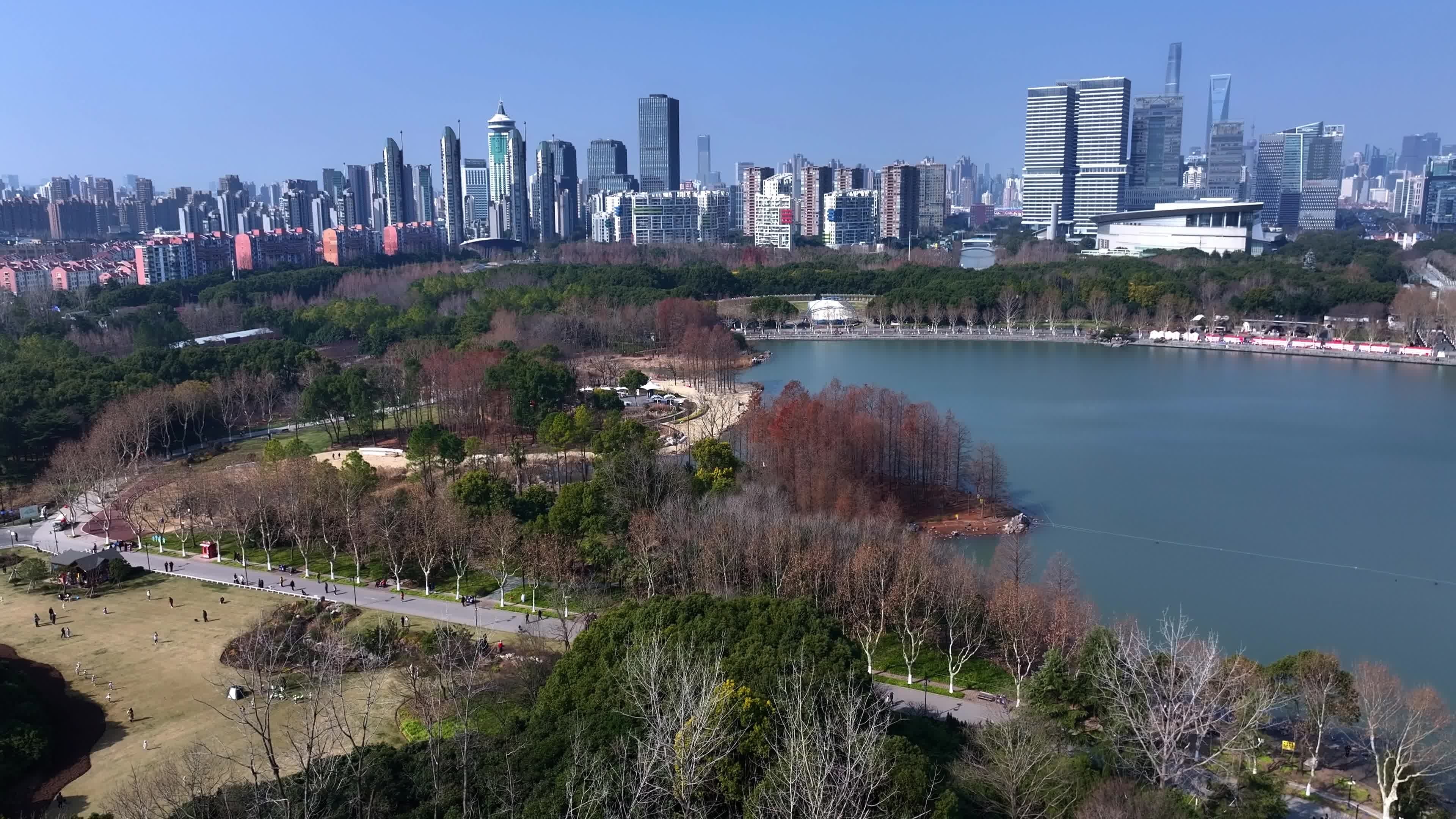 上海世纪公园视频素材(4K)视频素材画面1