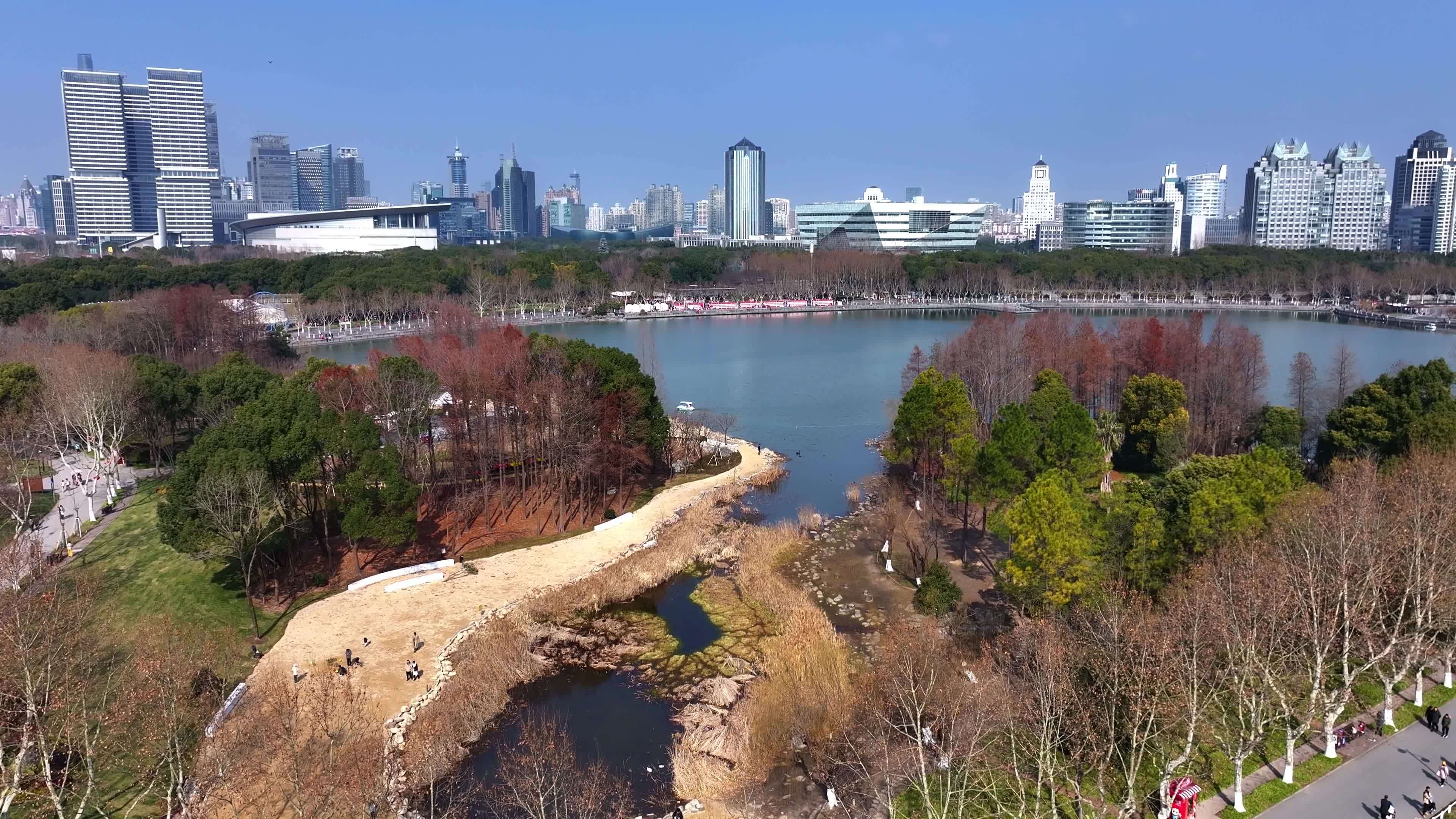 上海世纪公园视频素材(4K)视频素材画面2