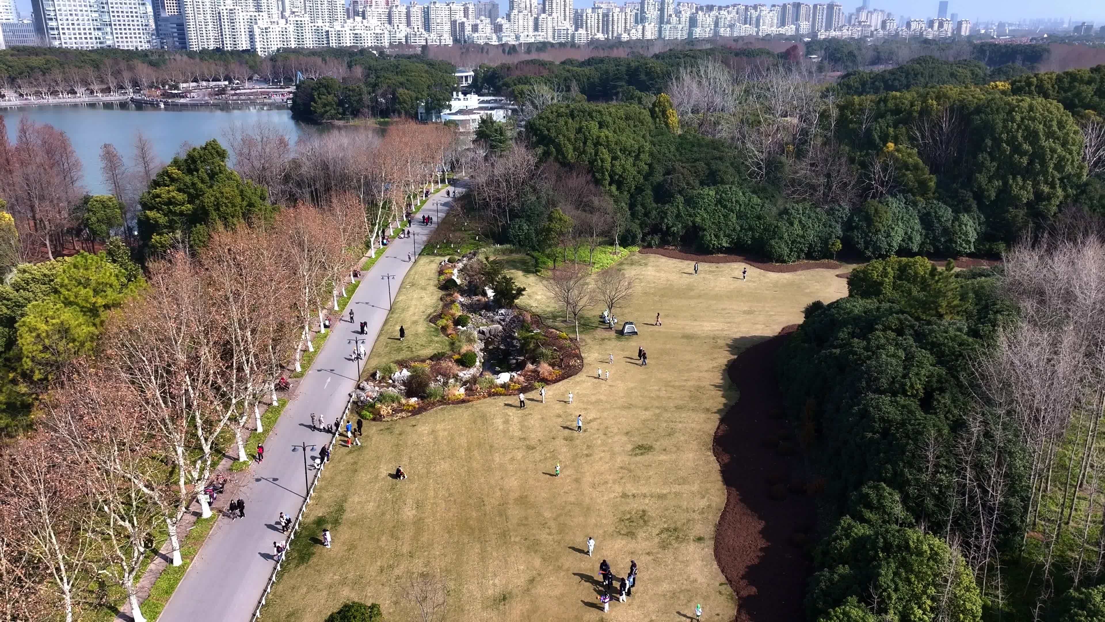 上海世纪公园视频素材(4K)视频素材画面3