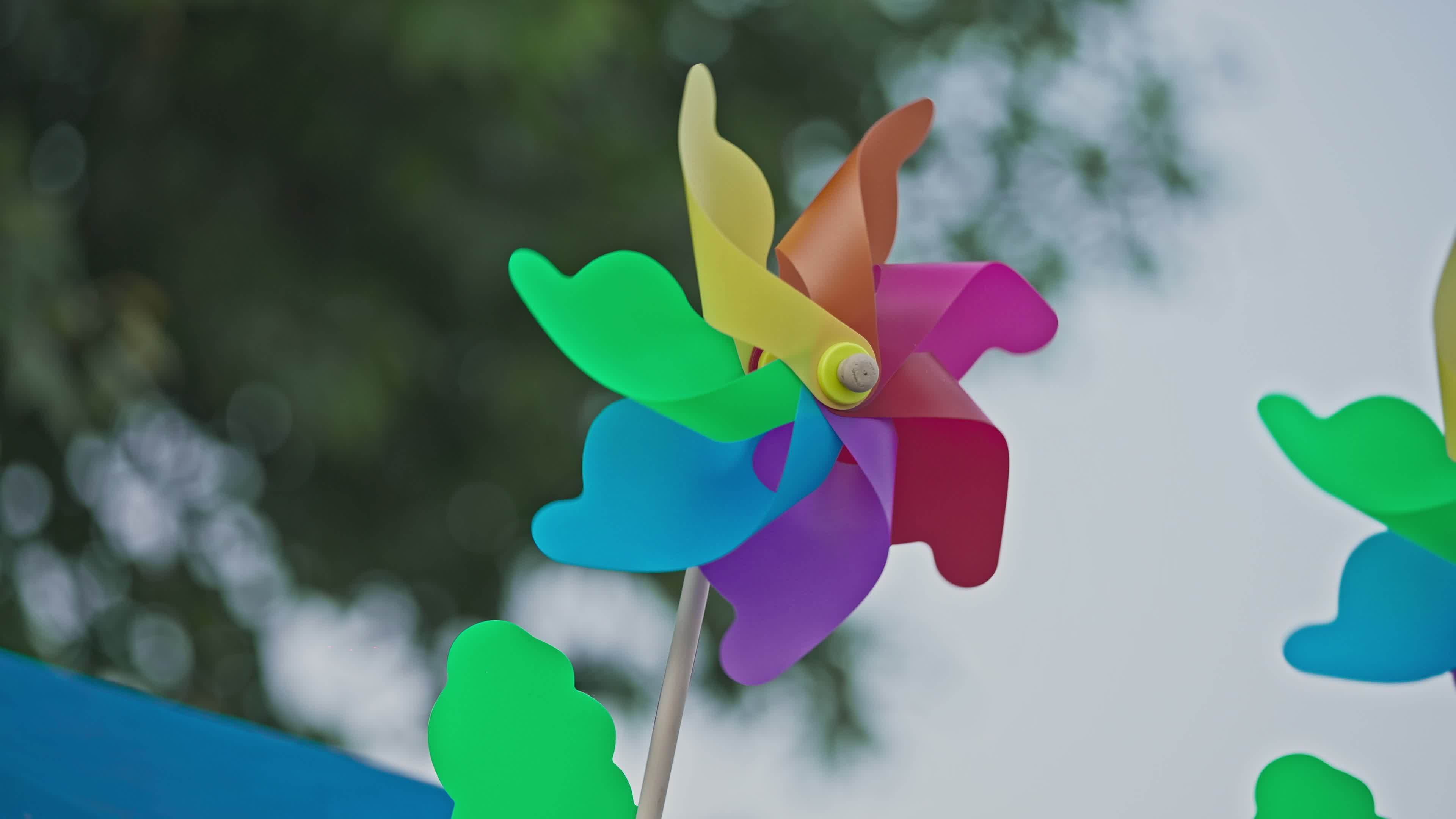 上海世纪公园游玩美景视频素材画面2