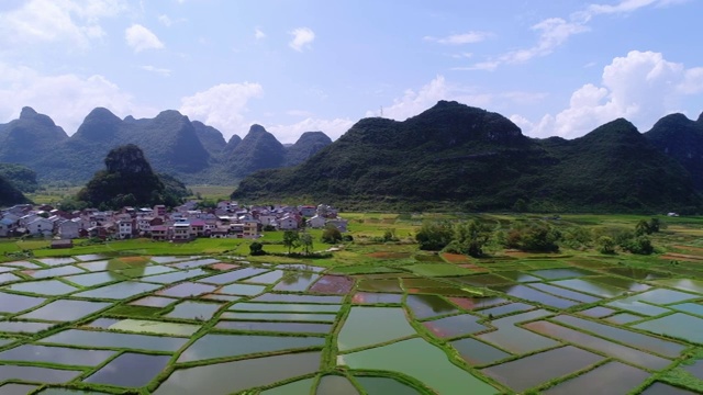 阳光明媚下的田园风光视频素材