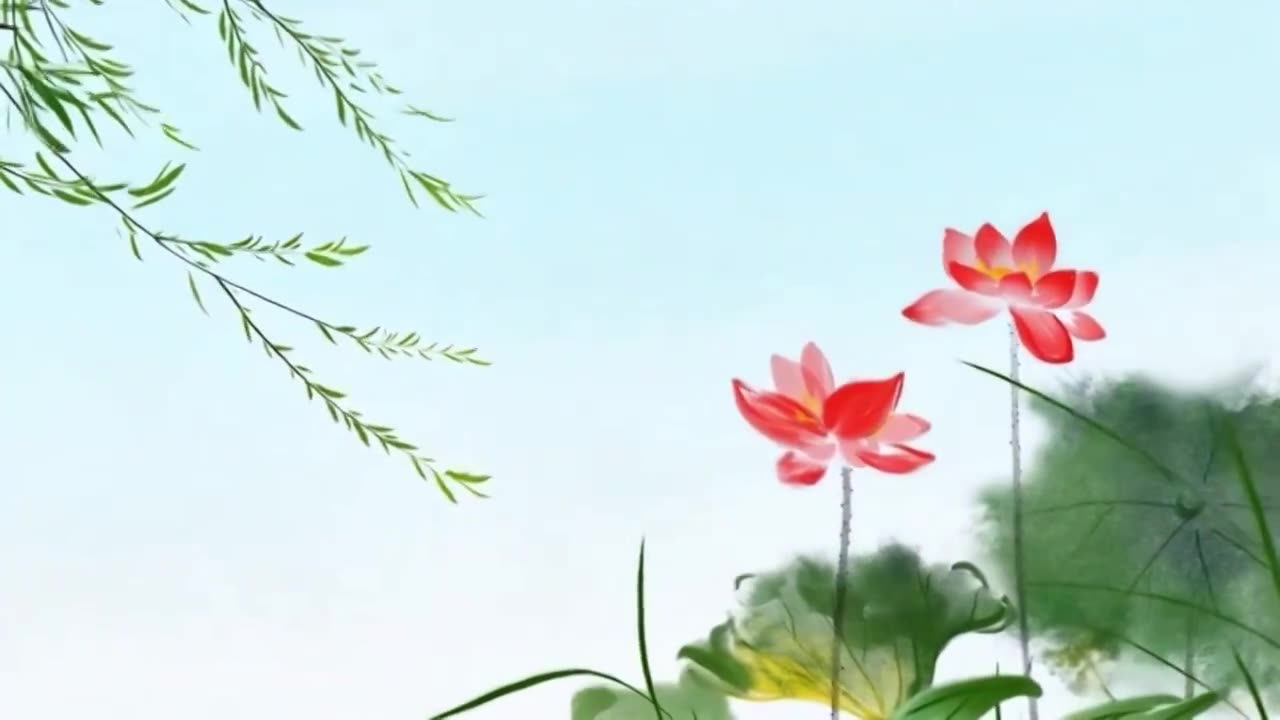 水墨画 荷花 柳树 夏天 消暑视频素材画面1