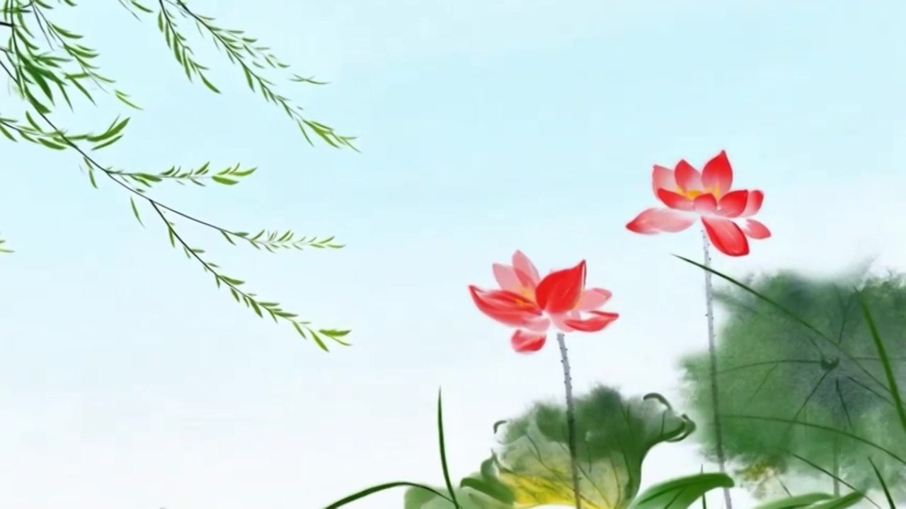 水墨画 荷花 柳树 夏天 消暑视频素材画面3