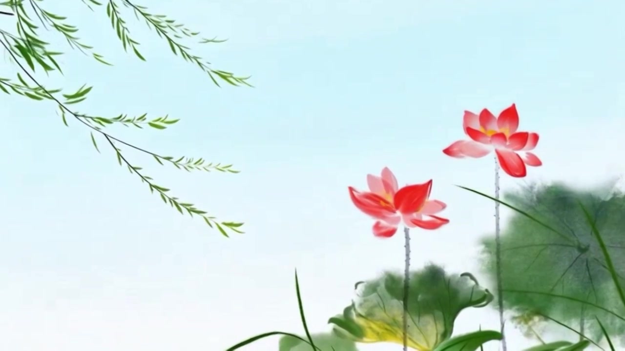 水墨画 荷花 柳树 夏天 消暑视频素材画面4