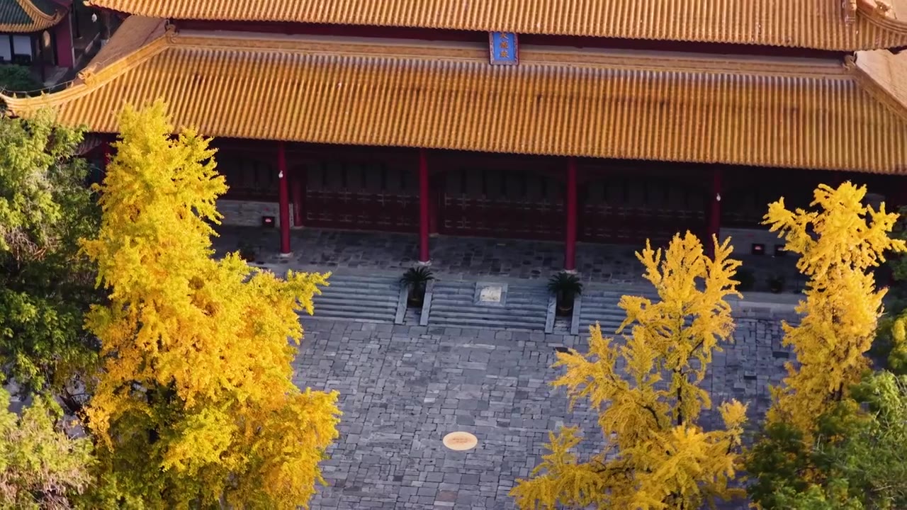 南京朝天宫秋色，江苏南京视频素材画面4