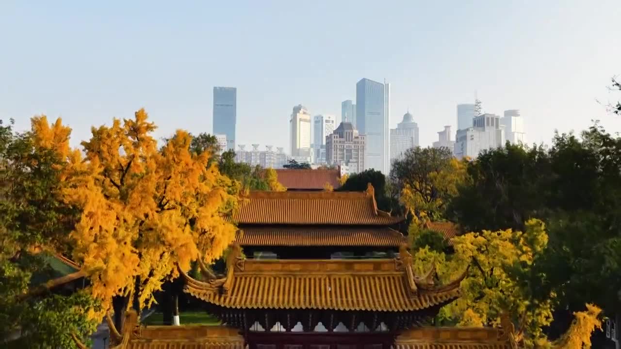 南京朝天宫秋色，江苏南京视频素材画面1