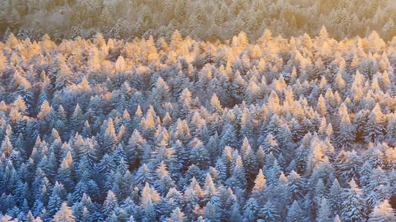 三九严寒，无人机航拍吉林省延边仙峰国家森林公园、长白山雪岭、老里克湖雾凇、雪凇自然景观。视频素材画面1