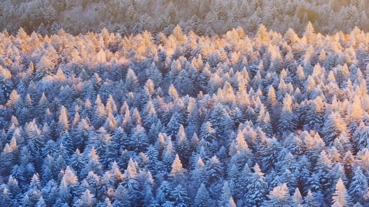 三九严寒，无人机航拍吉林省延边仙峰国家森林公园、长白山雪岭、老里克湖雾凇、雪凇自然景观。视频素材画面4