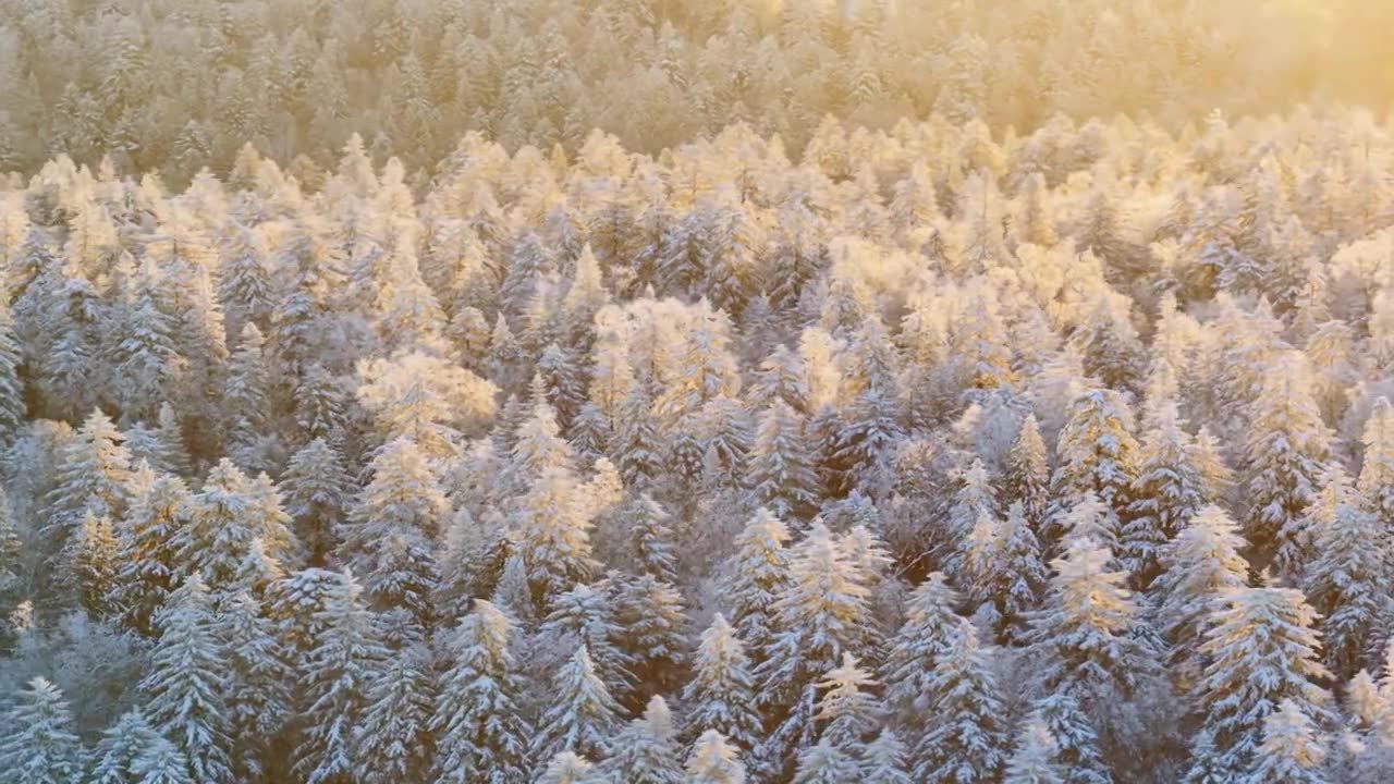 三九严寒，无人机航拍吉林省延边仙峰国家森林公园、长白山雪岭、老里克湖雾凇、雪凇自然景观。视频素材画面1