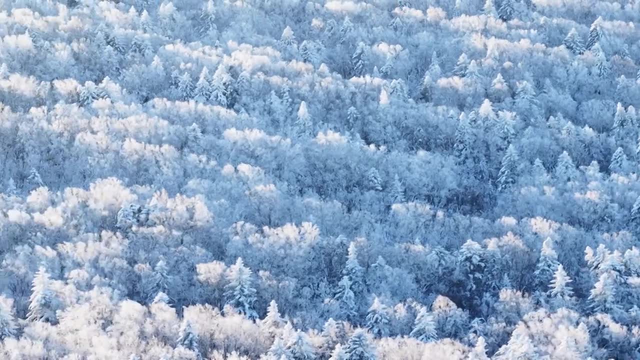 三九严寒，无人机航拍吉林省延边仙峰国家森林公园、长白山雪岭、老里克湖雾凇、雪凇自然景观。视频素材画面1