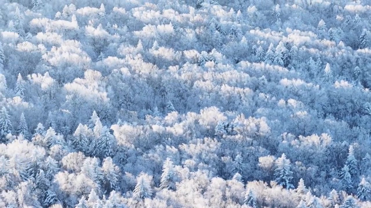 三九严寒，无人机航拍吉林省延边仙峰国家森林公园、长白山雪岭、老里克湖雾凇、雪凇自然景观。视频素材画面3