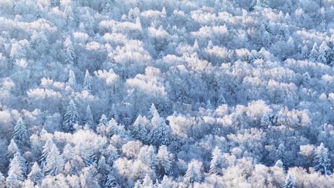 三九严寒，无人机航拍吉林省延边仙峰国家森林公园、长白山雪岭、老里克湖雾凇、雪凇自然景观。视频素材画面4