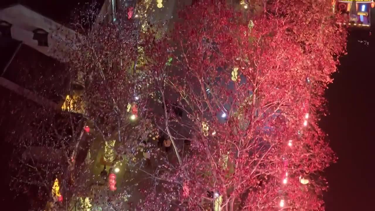 航拍无锡清名桥古运河街区夜景视频素材画面1