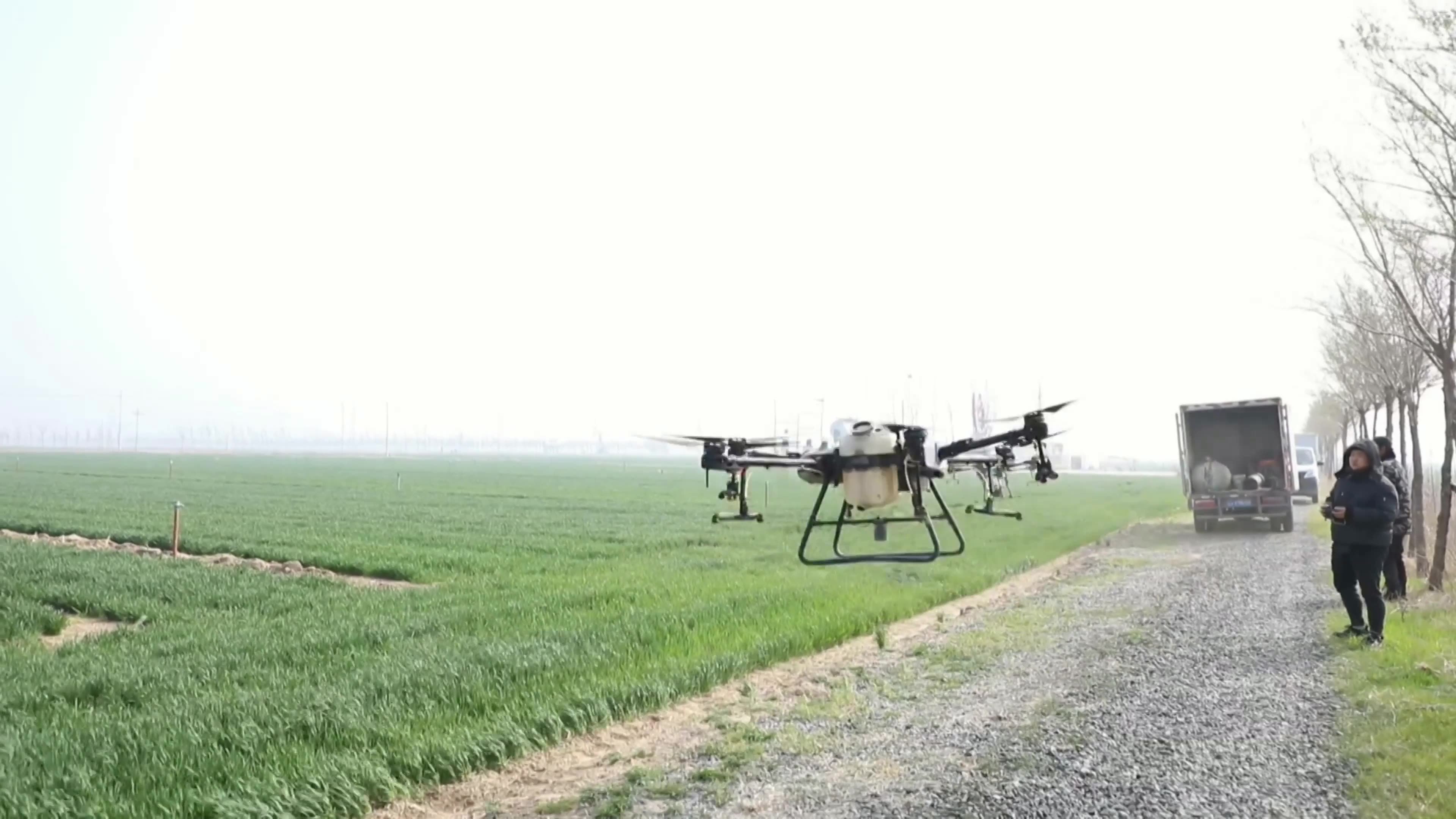 衣业小麦地视频素材画面1