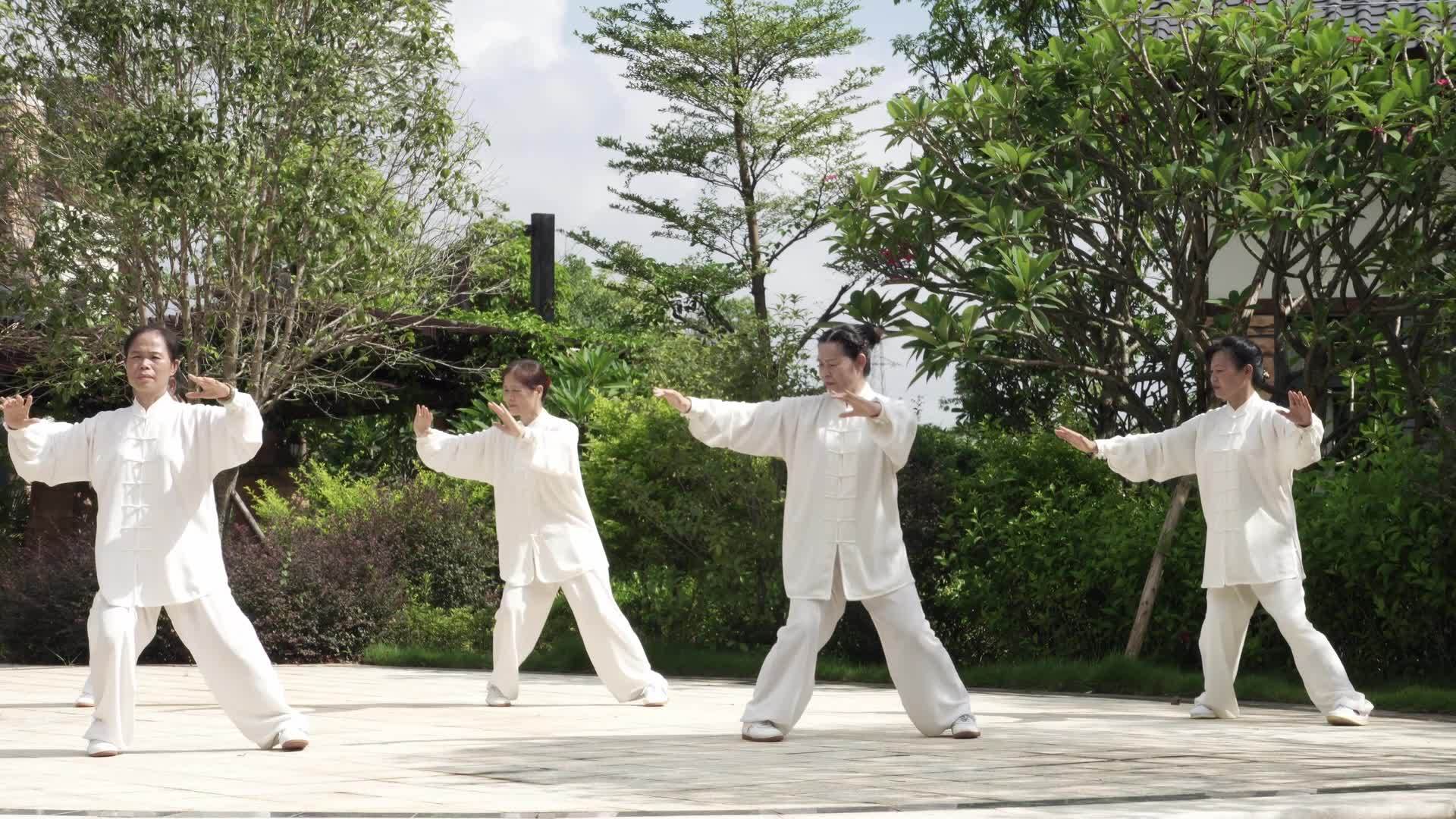 太极拳视频素材画面1
