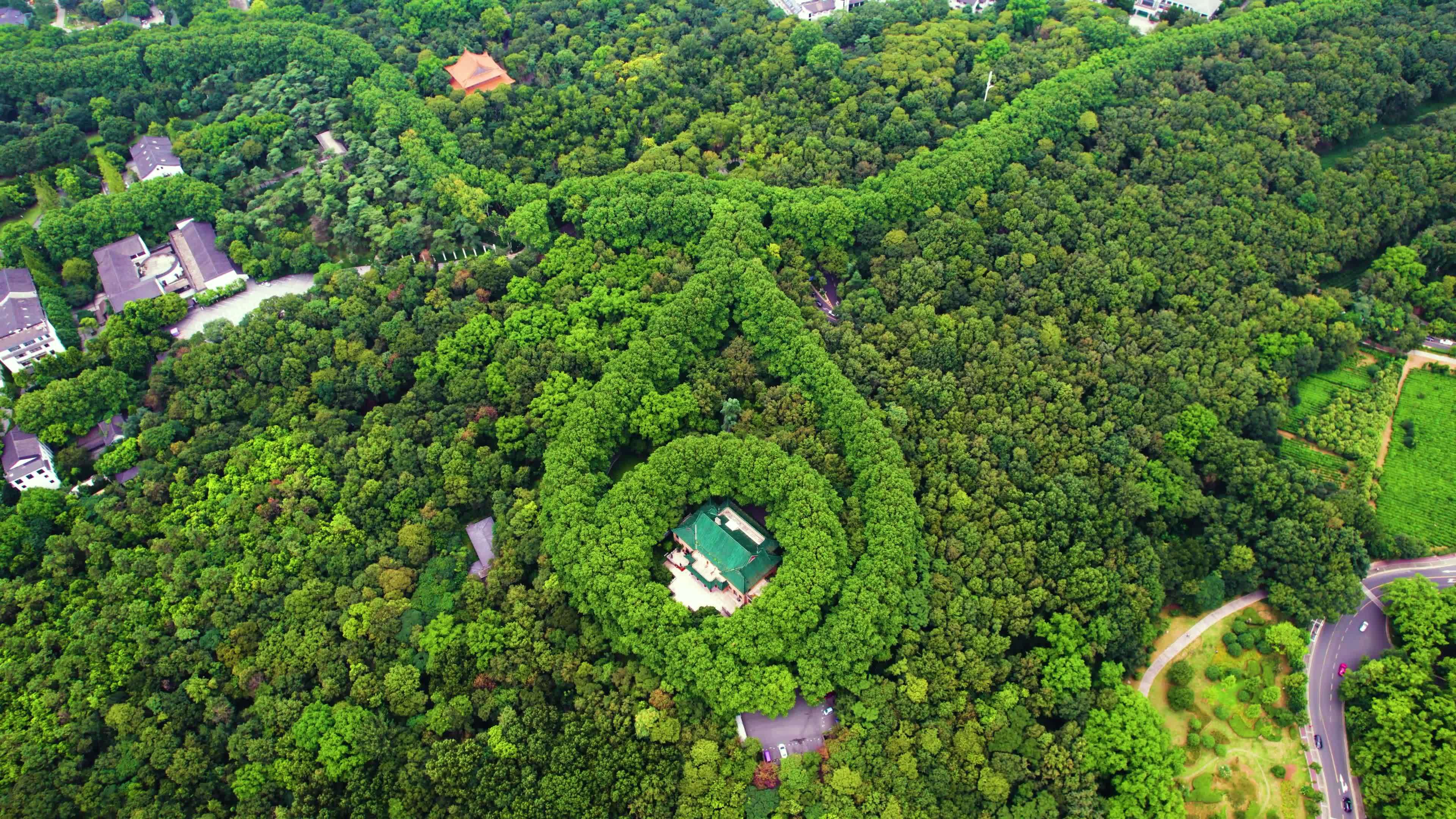 南京中山陵中山林美龄宫航拍延时素材视频素材画面1